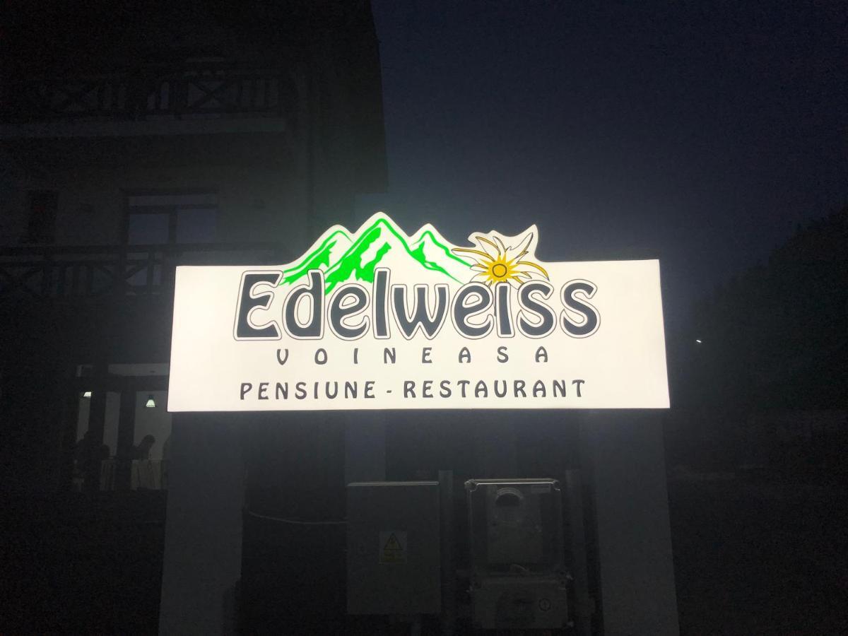 וויניאסה Pensiunea Edelweiss מראה חיצוני תמונה